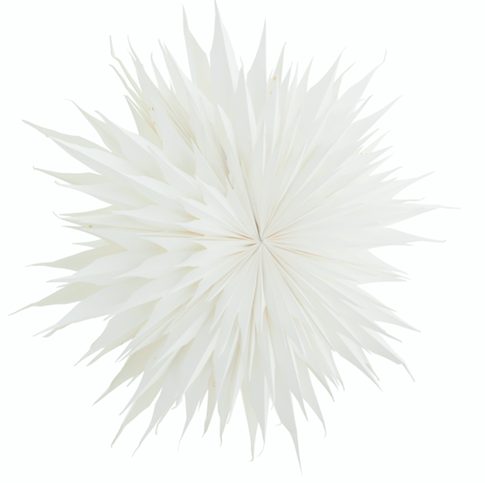 Paper Star