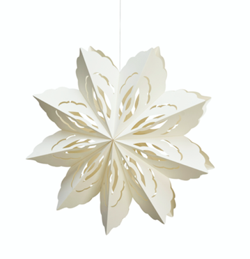 Paper Snowflake